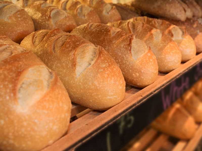 Daily Bread Line-Up